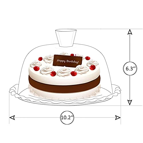 Glass Cake Stand with Dome 10 inch Serving Platter P128