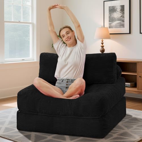 HABUTWAY Folding Sofa Bed Convertible Sleeper Chair with Dual-Pillow, Black D26880