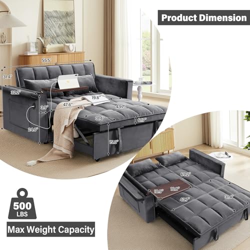 WIIS' IDEA Convertible Sofa Bed 3-in-1 Velvet Sleeper with Adjustable Backrest, Gray L188547