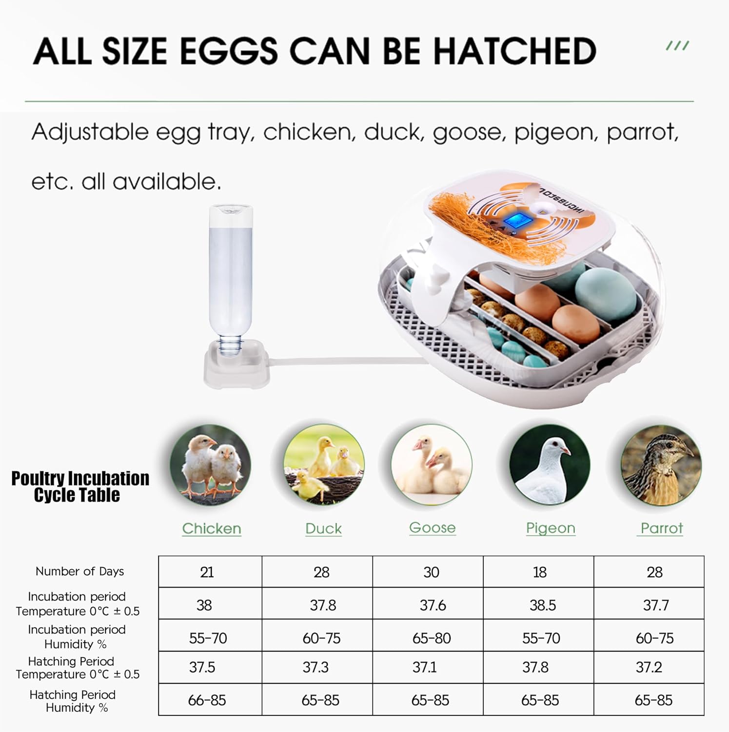 16-35 Egg Incubator with Automatic Turner and Humidity Display Q61705