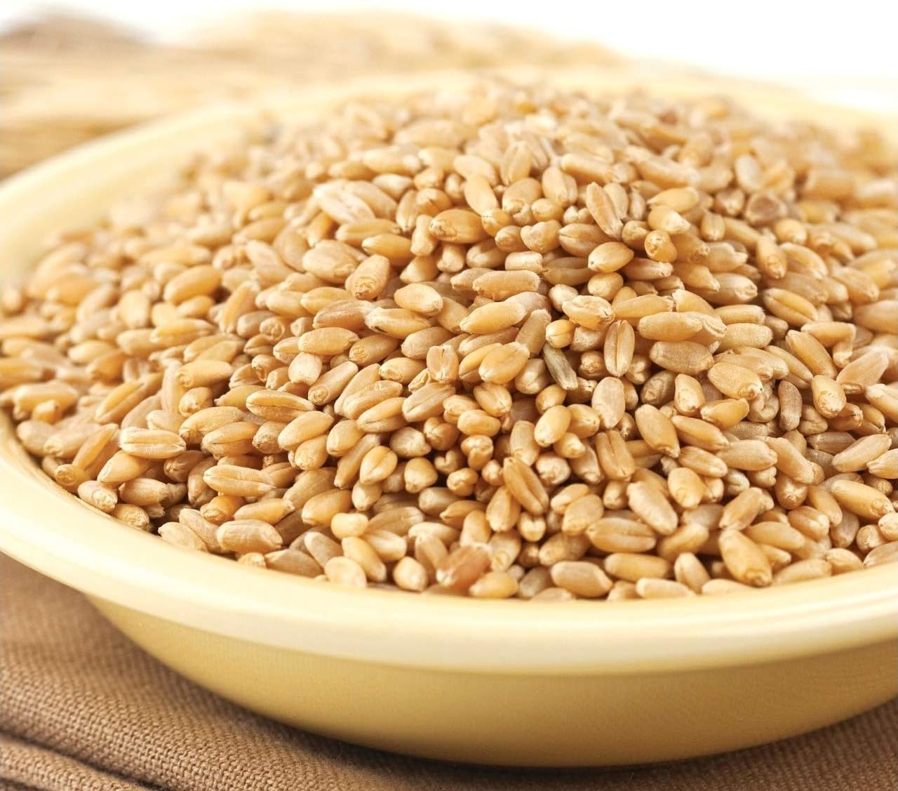 Wheat Montana Prairie Gold Wheat Berries 50lb Bag S41227