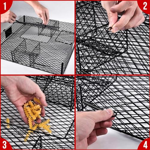 Squirrel Trap (No Bottom Tray) Metal Construction, 2 Traps Q80526