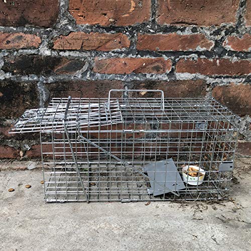Heavy Duty Live Animal Trap for Squirrels and Small Rabbits V8753