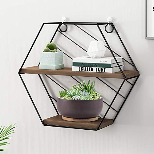 Terracotta Shallow Succulent Planter 8 Inch with Bamboo Tray Q954