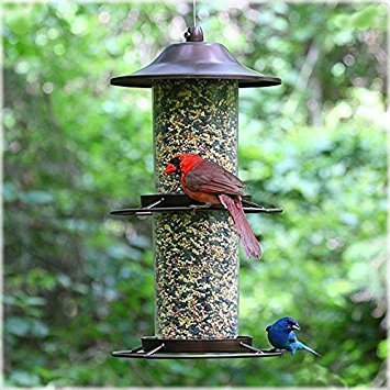 Perky-Pet 325S Panorama Bird Feeder T69892