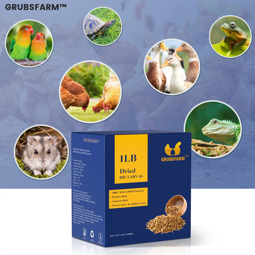 GRUBSFARM Chicken Treats 5LBS - Non-GMO BSF Larvae for Hens, Ducks & Wild Birds S7684