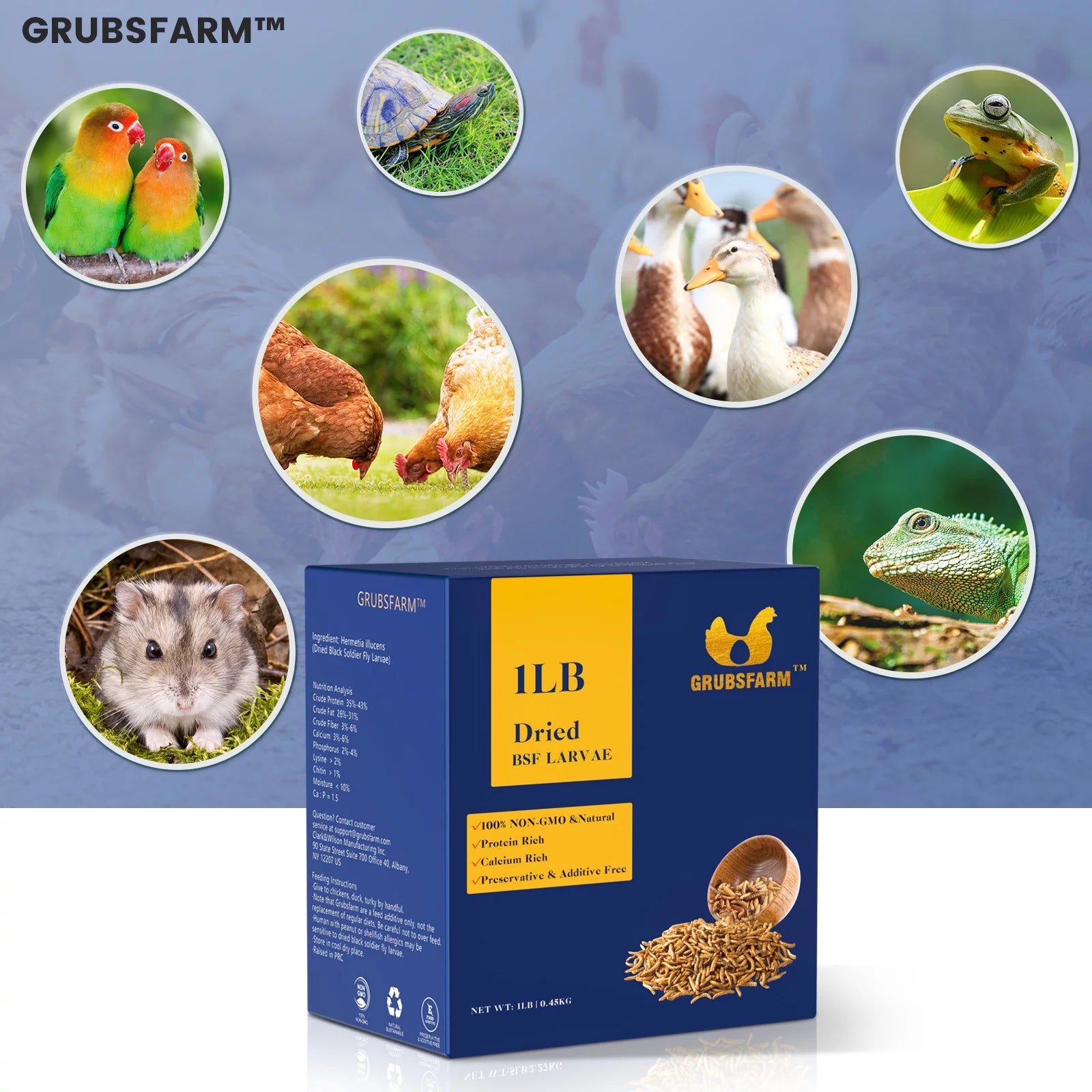 GRUBSFARM Chicken Treats 5LBS - Non-GMO BSF Larvae for Hens, Ducks & Wild Birds S7684