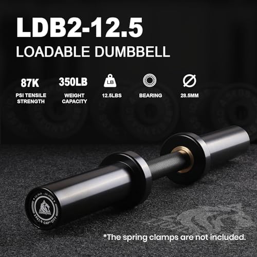 LIONSCOOL 16"/20" Loadable Dumbbells Pairs, Commercial Grade Olympic Dumbbell Bar F2694