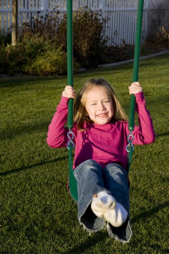 Lifetime Heavy Duty A-Frame Metal Swing Set E3142