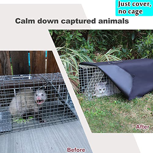 Live Animal Trap Cage with Cover 32 Inch Heavy Duty Folding for Raccoons, Opossums, Feral Cats A154