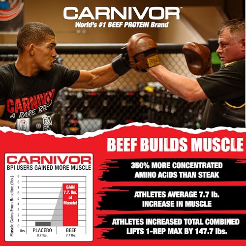 MuscleMeds Carnivor Ready to Drink Protein, Chocolate, 16.9 Fl Oz (Pack of 12) G3657