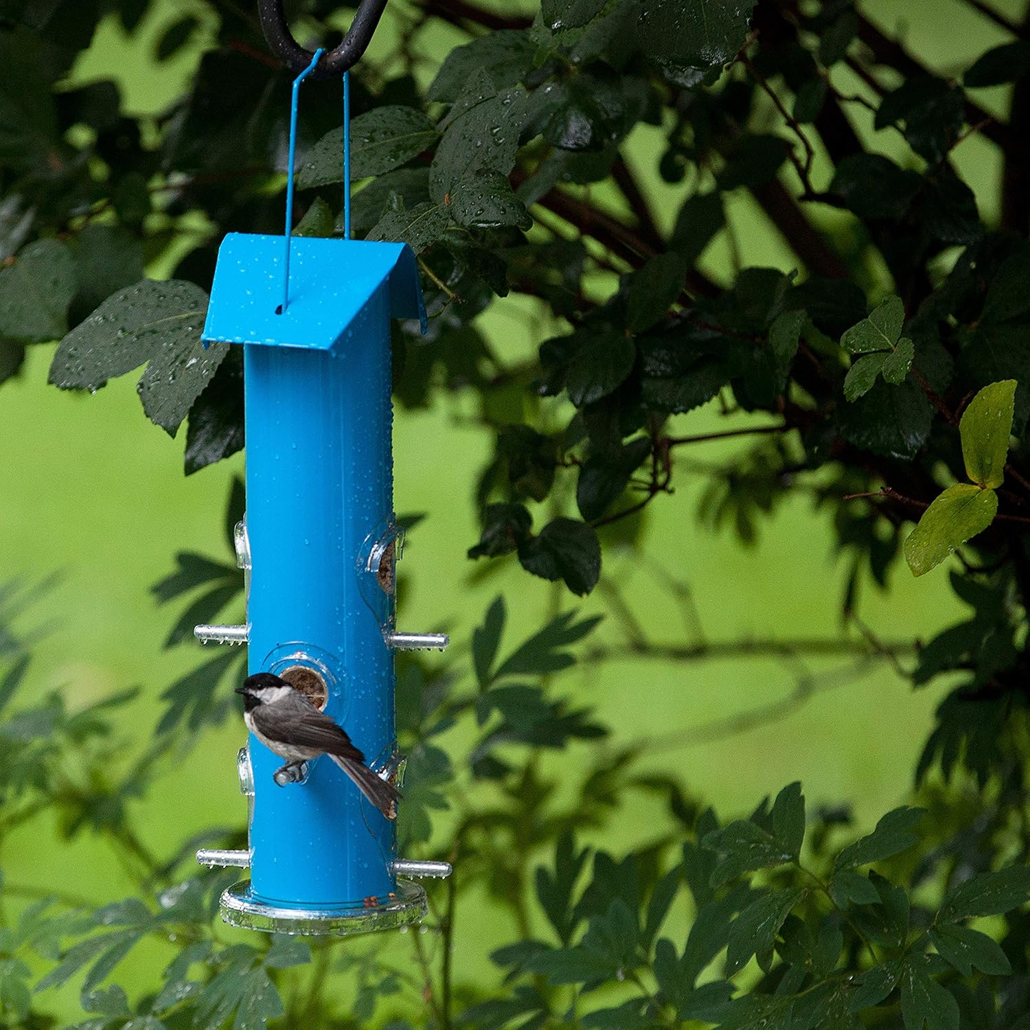 Perky-Pet 391 Metal Tube Wild Bird Feeder, Blue W4187