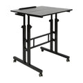 Loyalheartdy 24" Mobile Stand Up Desk Adjustable Height Small Storage Desk with Wheels for Home Office (Black)
