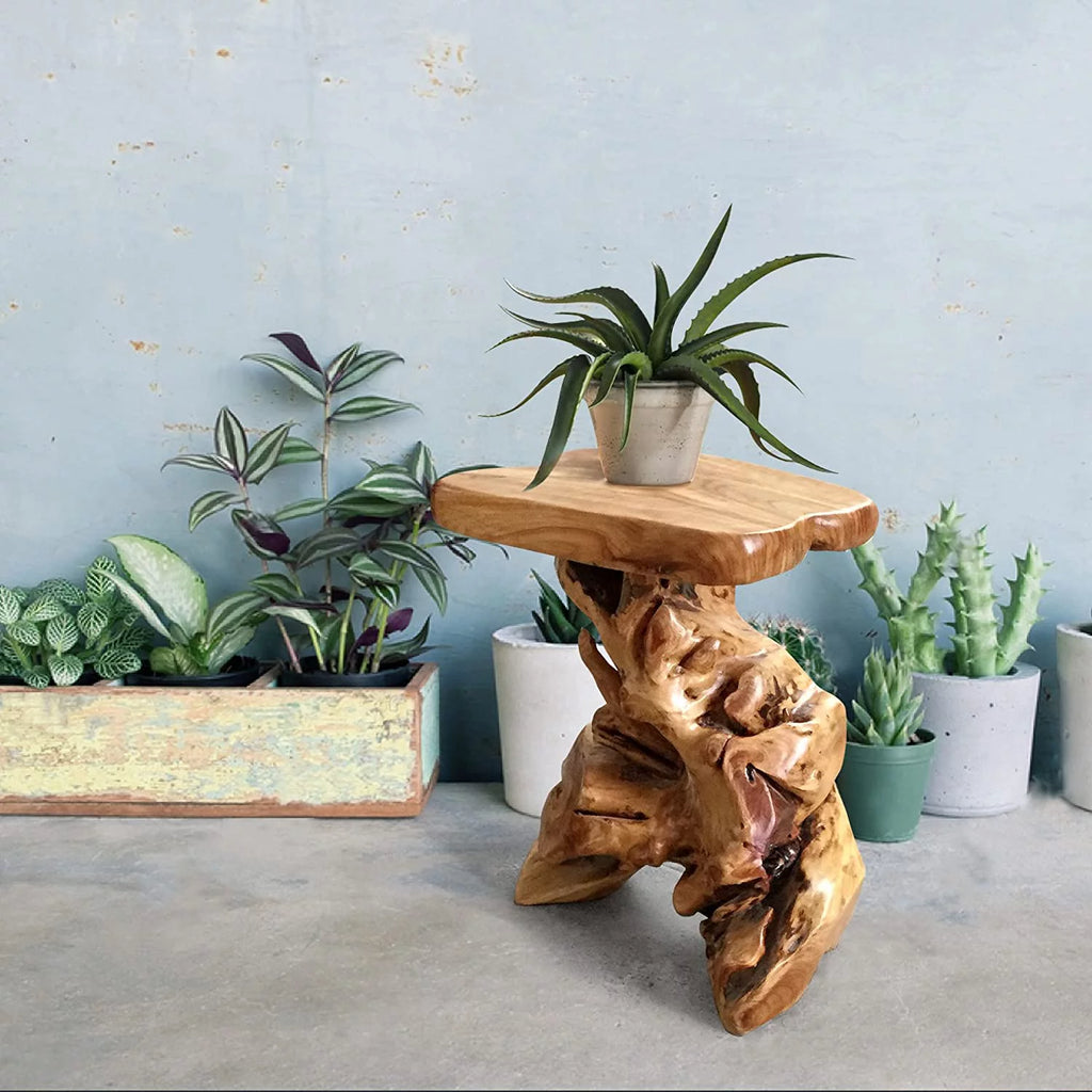 Natural Irregular Cedar Wood Tree Stump End Table Plant Stand C143