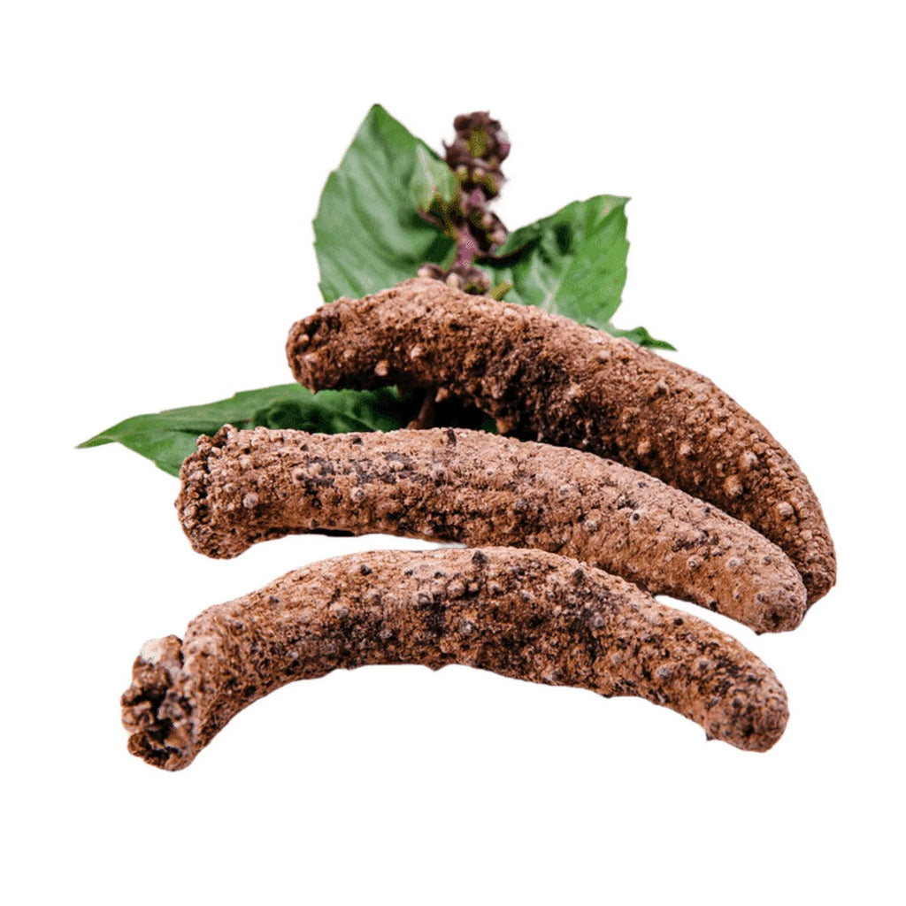 Royal Seafood USA Alaska Dried Wild Caught Sea Cucumber Medium 4oz Z9929
