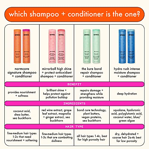 amika normcore signature shampoo L1519