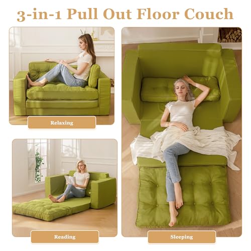 YOSHOOT Loveseat Sleeper Sofa 55" Convertible Sofa Bed Couch with Reclining Backrest U145129