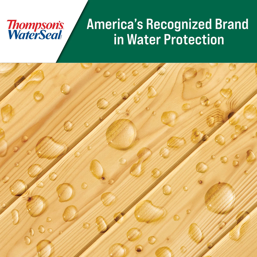 Thompson's WaterSeal Clear Wood Sealer, 5 Gallon R418945