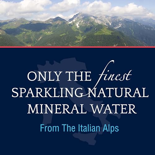 S.Pellegrino Sparkling Natural Mineral Water, 16.9 Fl Oz, Pack of 12 C792508