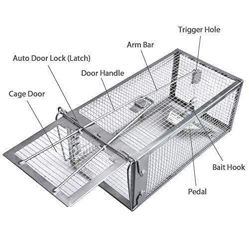 Humane Live Chipmunk Trap for Rats and Mice H443