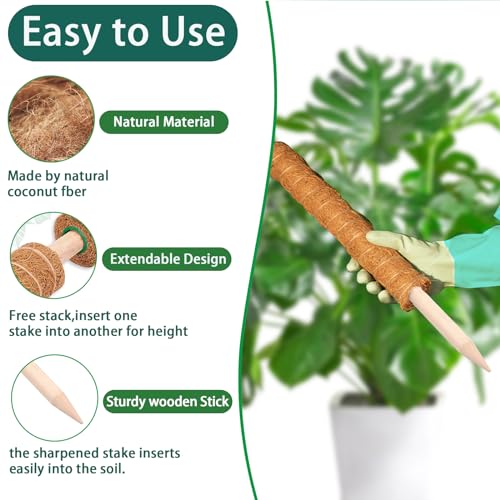 Moss Pole 2 Pack 17 Inch Monstera Plant Support for Climbing Plants Indoor I197510