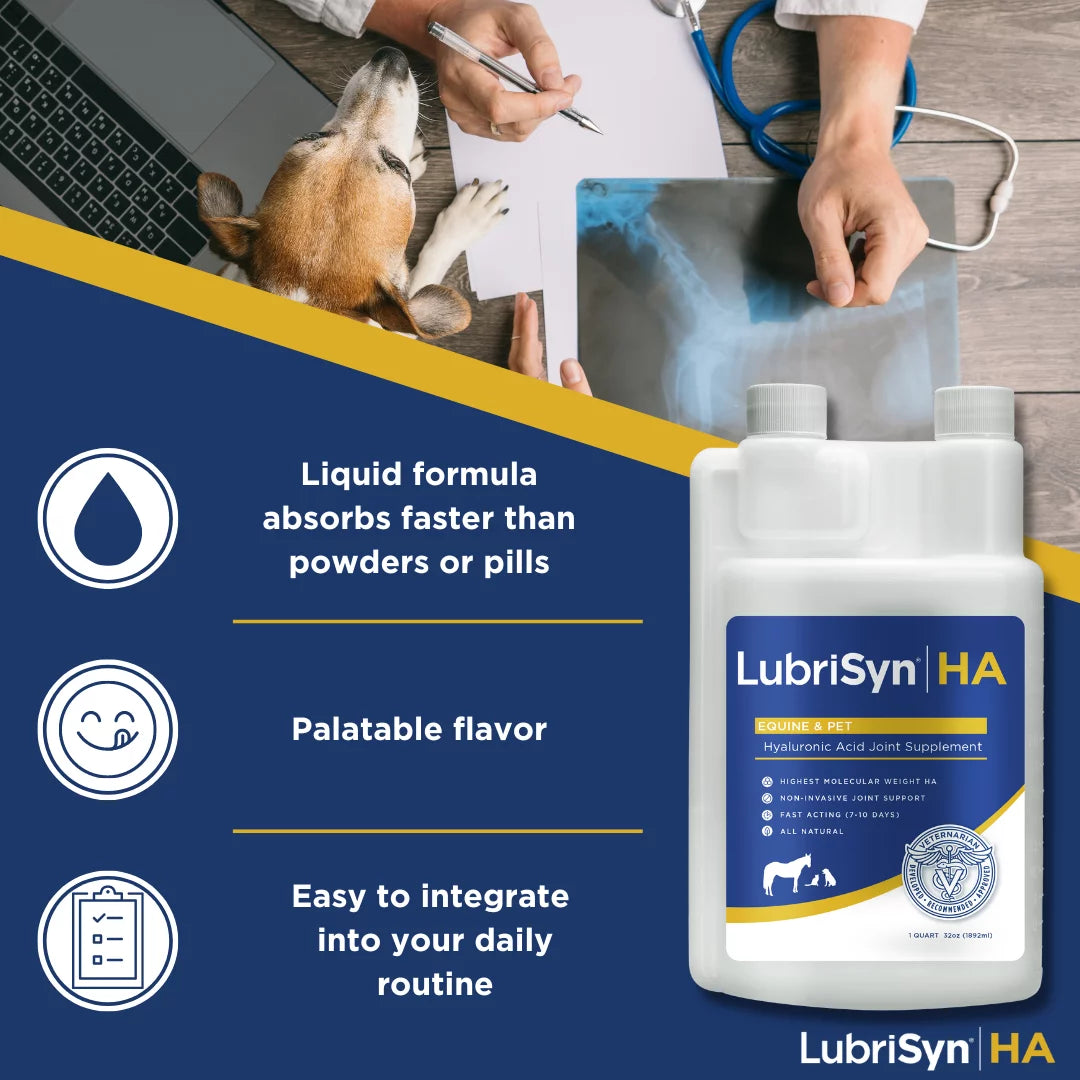 LubriSyn HA Joint Supplement for Equine & Pet, 32 oz J452840