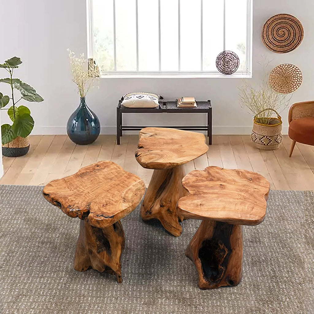 Natural Irregular Cedar Wood Tree Stump End Table Plant Stand C143