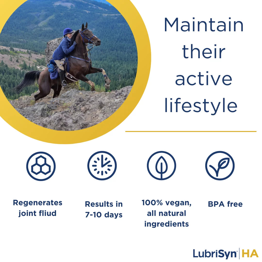 LubriSyn HA Joint Supplement for Equine & Pet, 32 oz J452840
