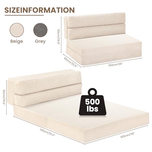 Folding Sofa Bed Convertible Sleeper Chair with Pillow, Grey D49904