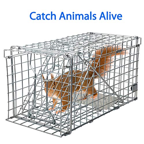 Heavy Duty Live Animal Trap for Squirrels and Small Rabbits V8753