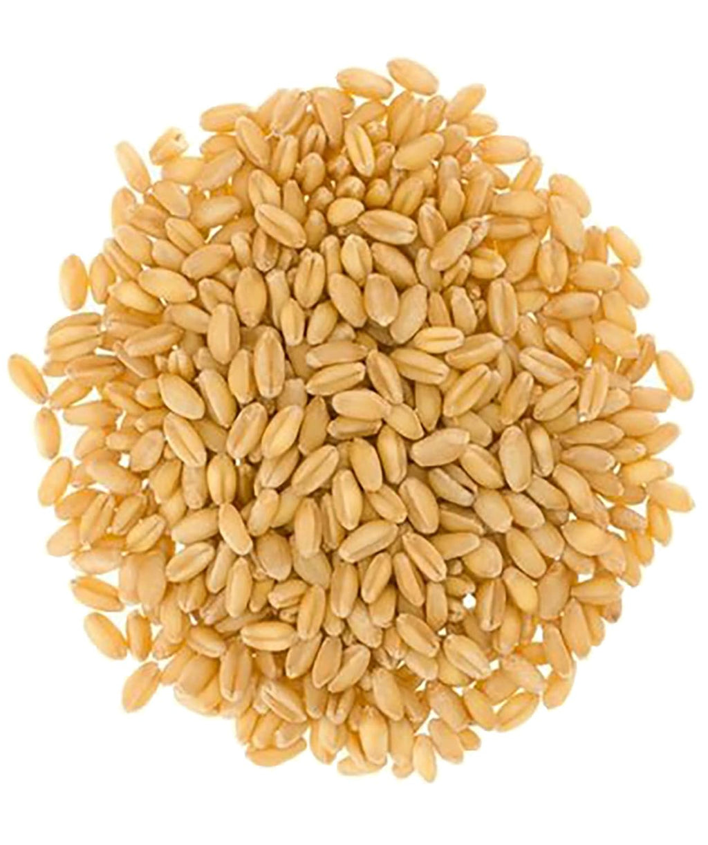 Soft White Wheat Berries 25 lbs Non-GMO Bulk F68126
