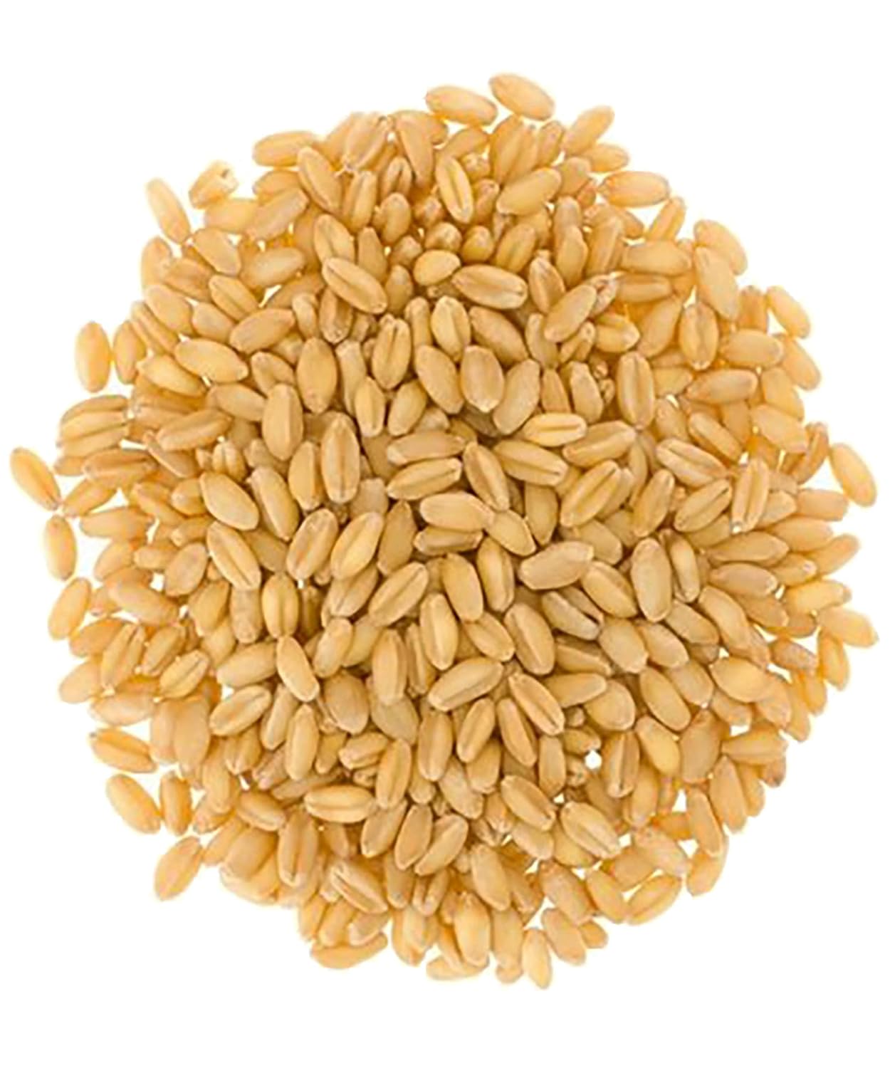 Soft White Wheat Berries 25 lbs Non-GMO Bulk F68126