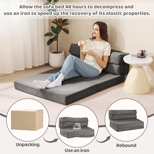 Folding Sofa Bed Convertible Sleeper Chair with Pillow, Grey D49904