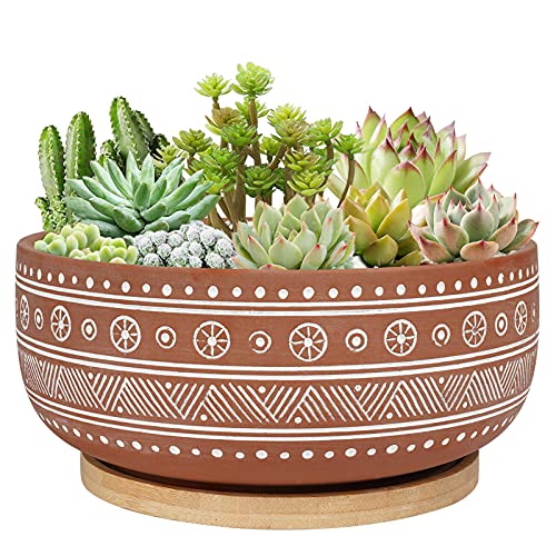 8 Inch Terracotta Succulent Planter Pot with Drainage Hole and Bamboo Tray, Round Shallow Bonsai Pot for Indoor Plants