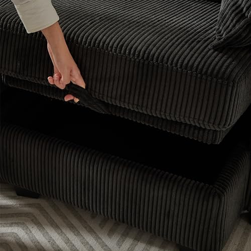 FANYE L/U-Shaped Modular Storage Sectional Sofa with 2 Pillows S72583