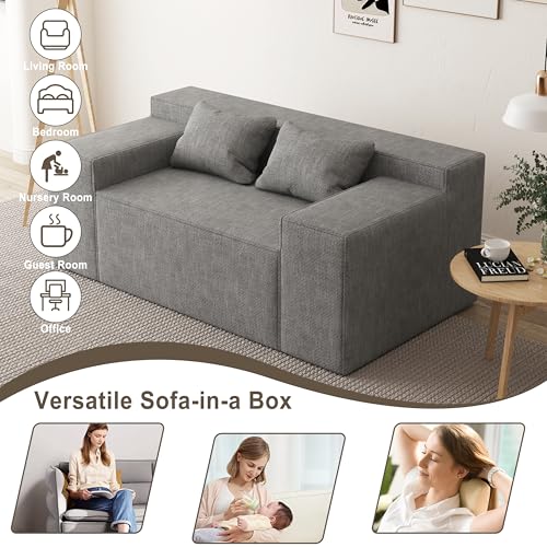 Modern Loveseat Sofa Couch in a Box with 2 Pillows, Cat-Scratch Resistant Linen, Grey F539394
