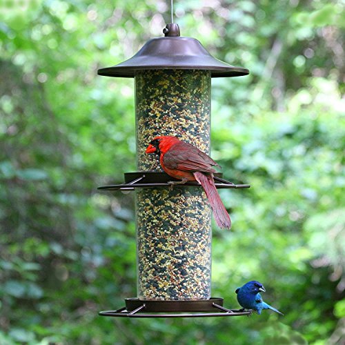 Perky-Pet 325S Panorama Bird Feeder T69892