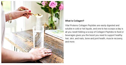 Vital Proteins Collagen Peptides - Pasture Raised, Grass Fed, Gluten Free, 24 oz R89993