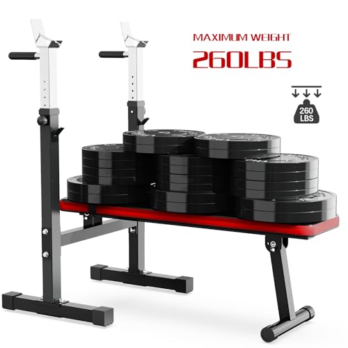 Adjustable Weight Bench with Squat Rack Folding Dip Station for Home Gym M703