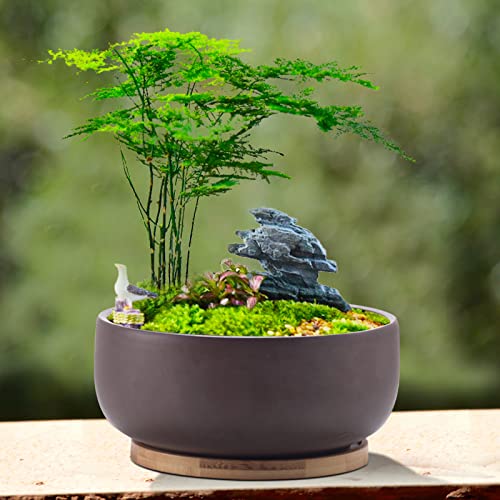 Terracotta Shallow Succulent Planter 8 Inch with Bamboo Tray Q954