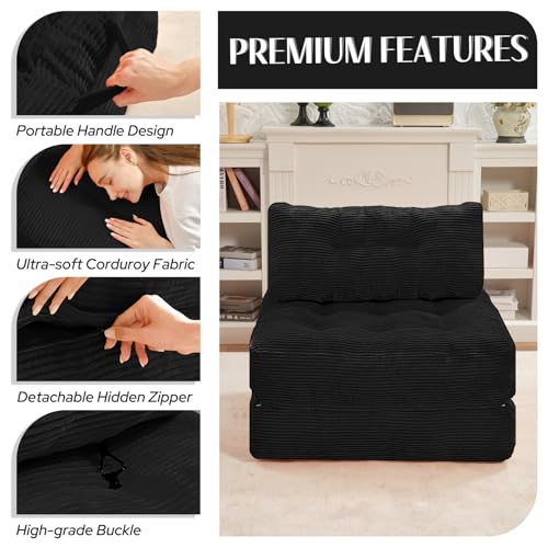HABUTWAY Folding Sofa Bed Convertible Sleeper Chair with Dual-Pillow, Black D26880