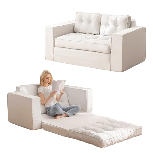 YOSHOOT Loveseat Sleeper Sofa 55" Convertible Sofa Bed Couch with Reclining Backrest U145129