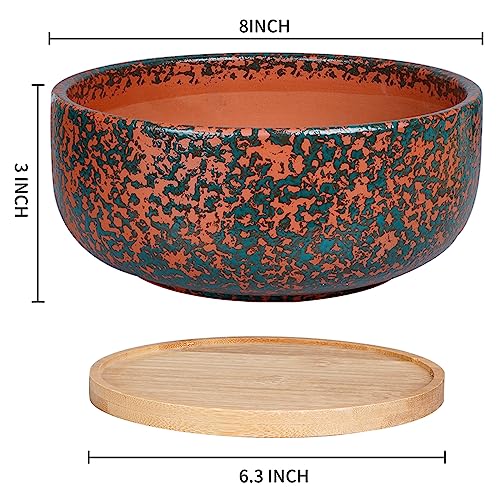 8 Inch Terracotta Planter with Bamboo Saucer for Succulent Bonsai L93293