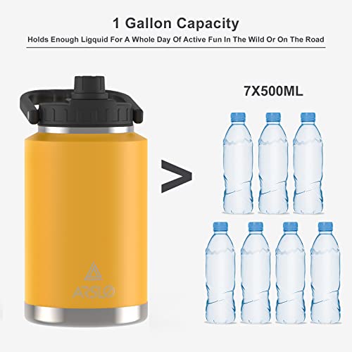 One Gallon Insulated Stainless Steel Water Bottle with Handle, 128 oz, Black Q512835