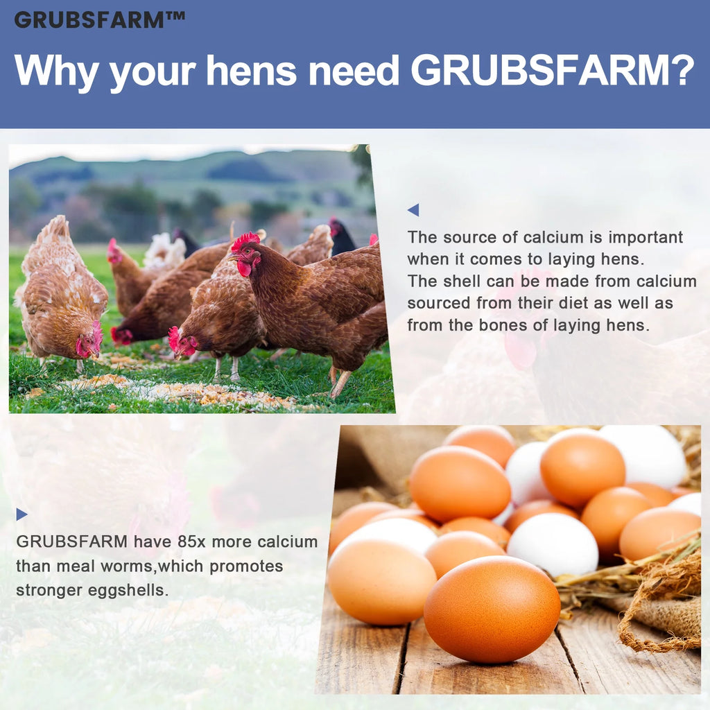 GRUBSFARM Chicken Treats 5LBS - Non-GMO BSF Larvae for Hens, Ducks & Wild Birds S7684