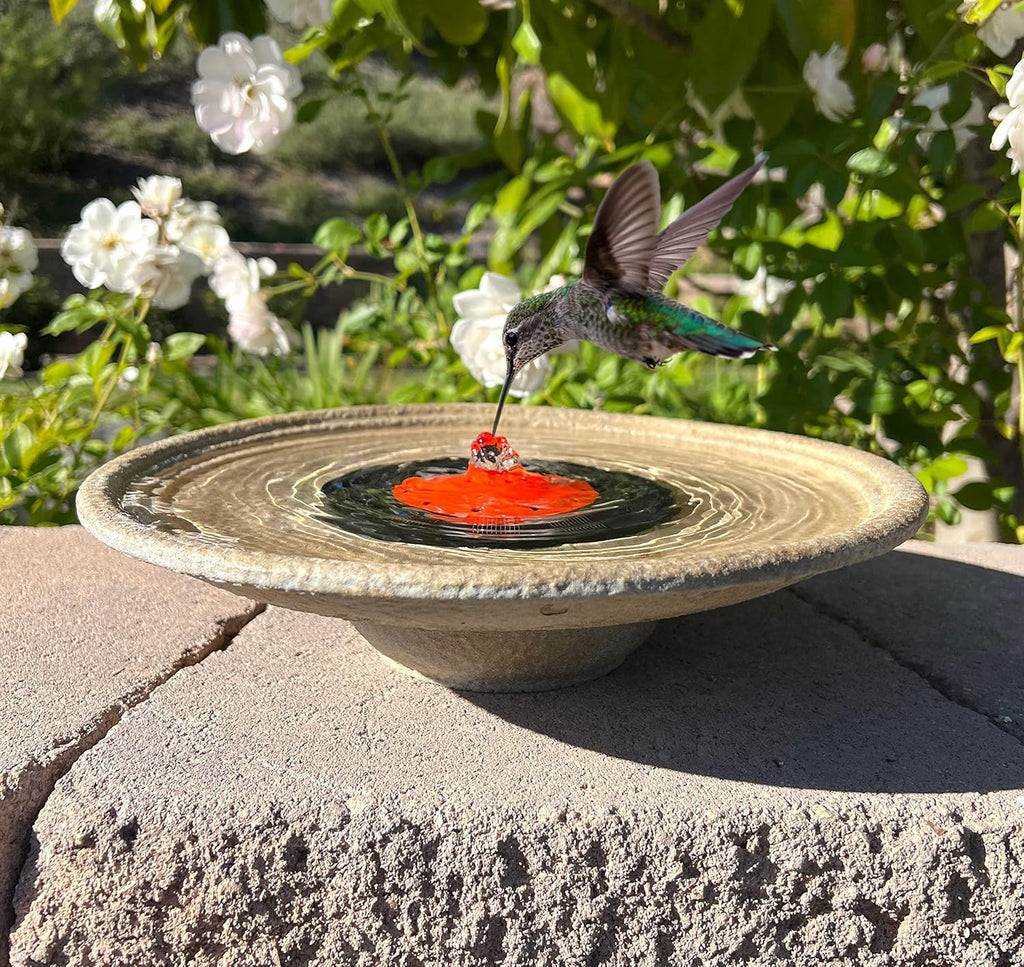 Solar Bubbler Fountain for Hummingbirds, Red Dome for Garden V18690