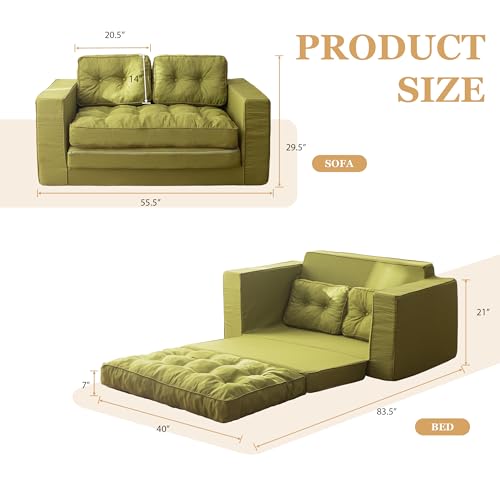 YOSHOOT Loveseat Sleeper Sofa 55" Convertible Sofa Bed Couch with Reclining Backrest U145129