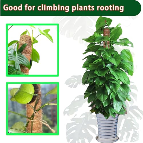 Moss Pole 2 Pack 17 Inch Monstera Plant Support for Climbing Plants Indoor I197510