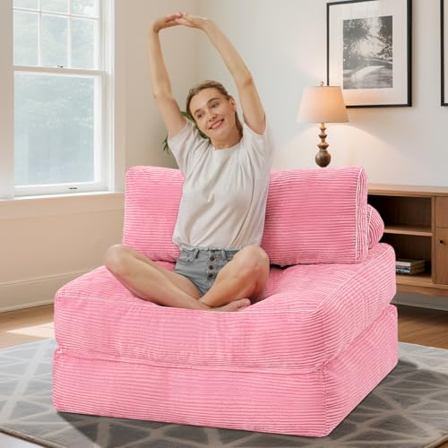 HABUTWAY Folding Sofa Bed Convertible Sleeper Chair with Dual-Pillow, Black D26880