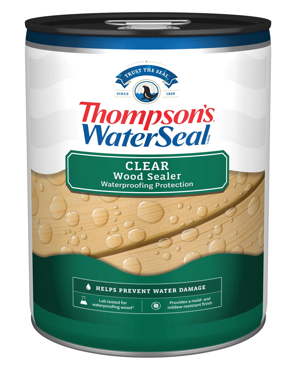 Thompson's WaterSeal Clear Wood Sealer, 5 Gallon R418945
